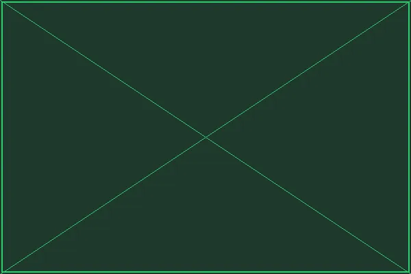 冒险者公告板 - 五龙捕鱼